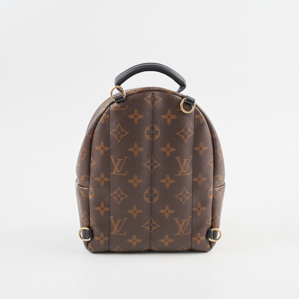 Louis Vuitton Mini Palm Spring Backpack Monogram