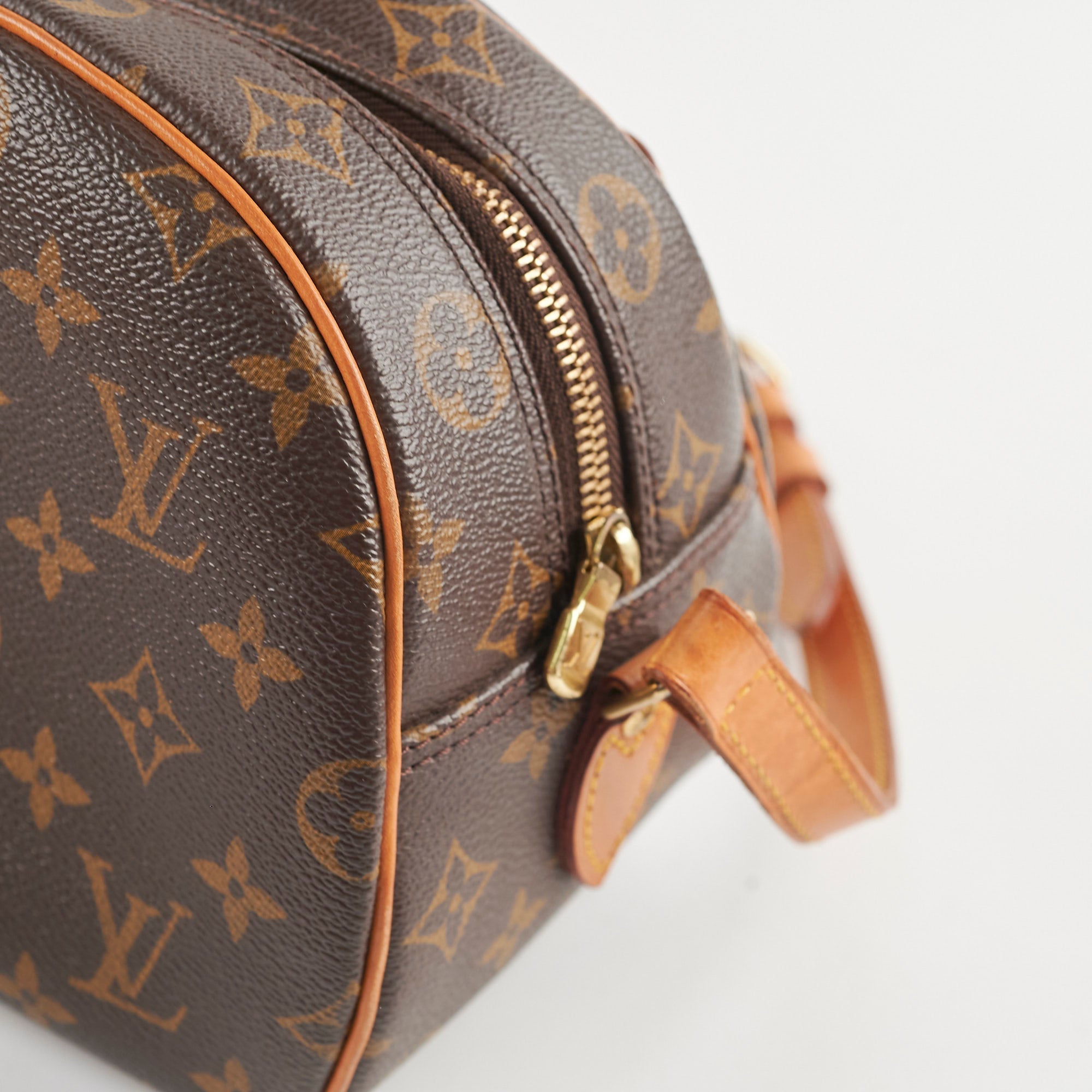 Louis Vuitton Blois Monogram Shoulder Bag