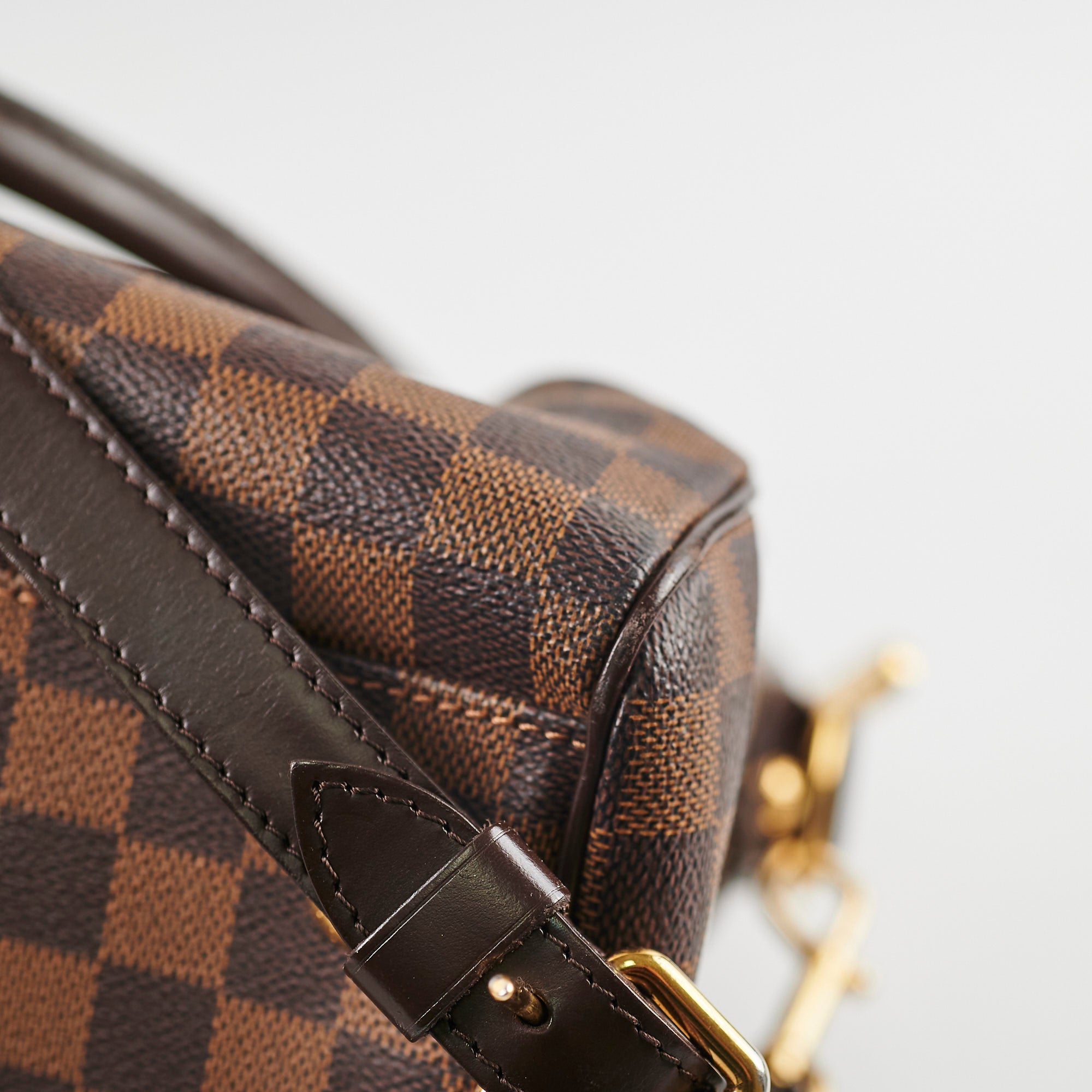 Louis Vuitton Trevi PM Damier Ebene