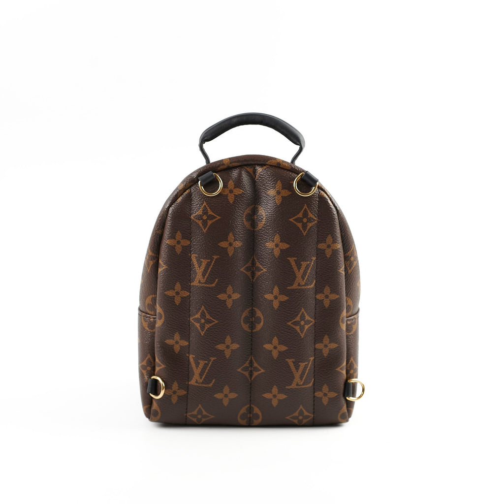 Louis Vuitton Palm Spring Mini Monogram