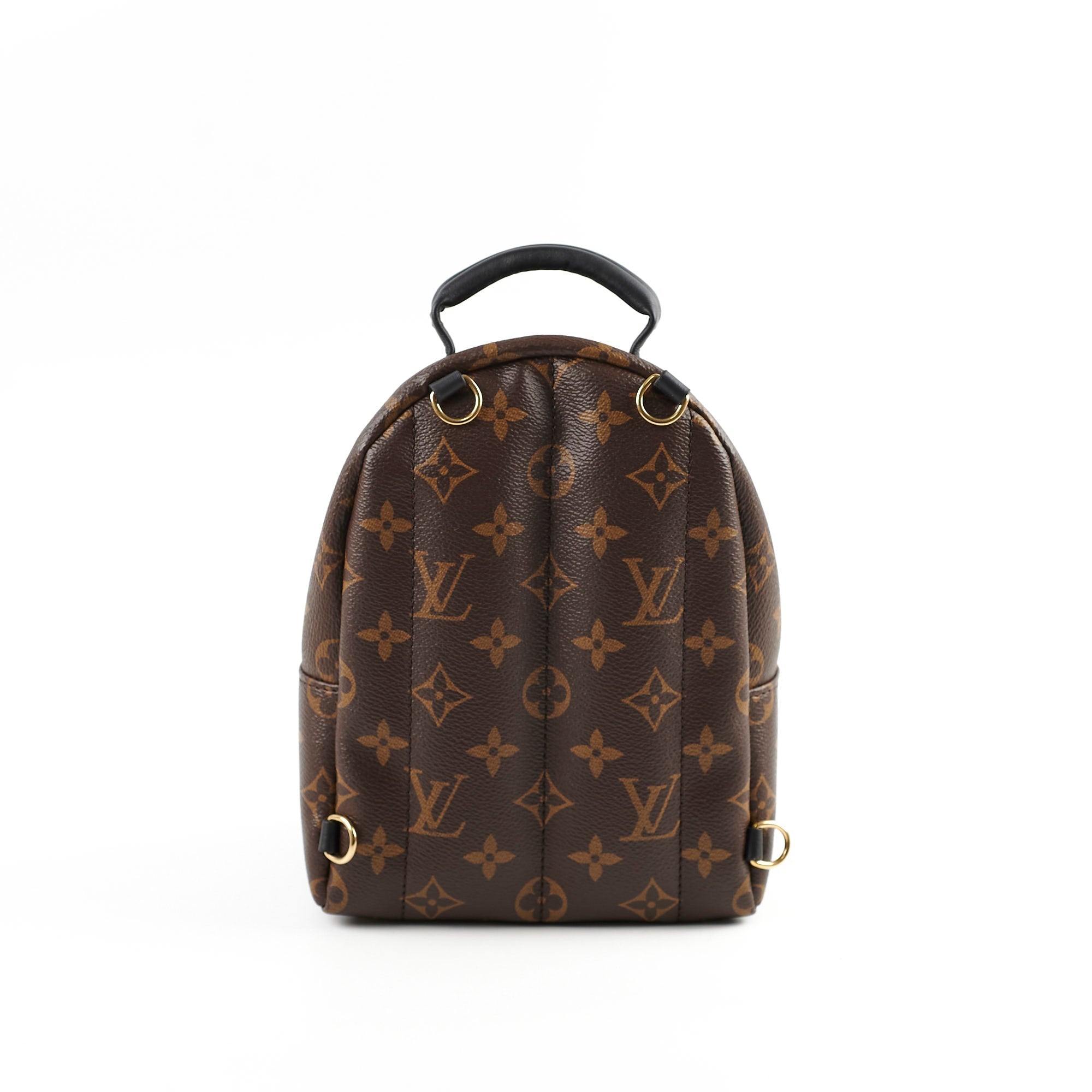 Louis Vuitton Palm Spring Mini Monogram