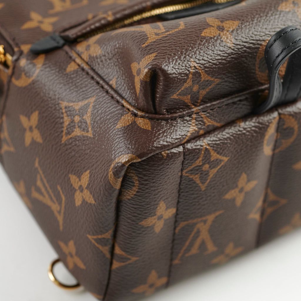 Louis Vuitton Palm Spring Mini Monogram