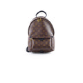 Louis Vuitton PM Palm Spring Backpack Monogram