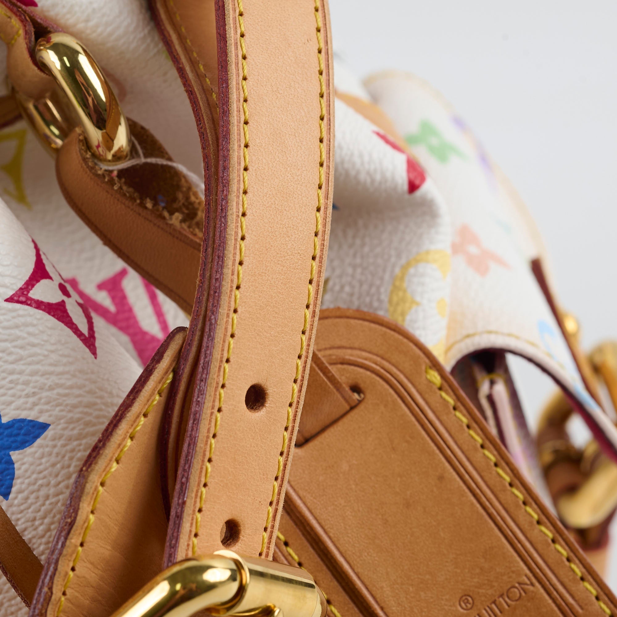 Louis Vuitton Petit Noe Multicolor Bucket Bag