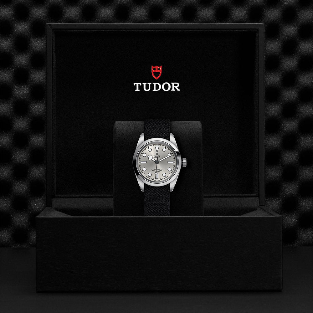 TUDOR Black Bay 32 M79580-0008