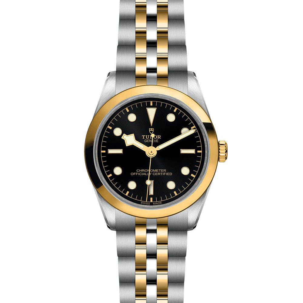 TUDOR Black Bay 36 S&G M79643-0001