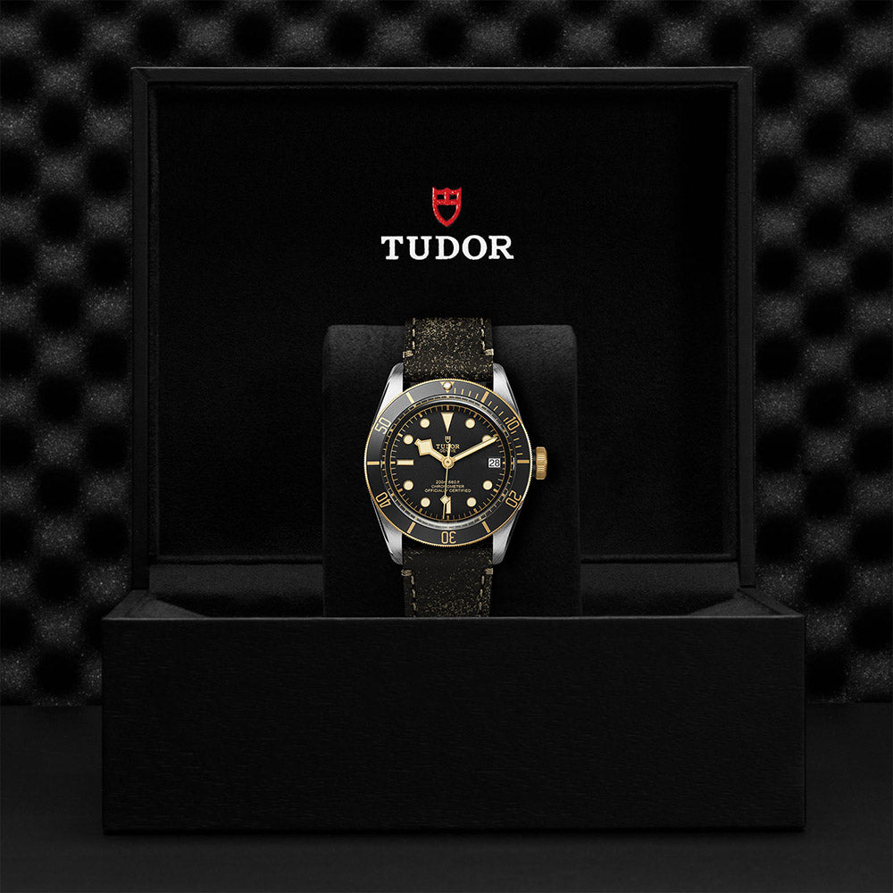 TUDOR Black Bay 41 S&G M79733N-0001