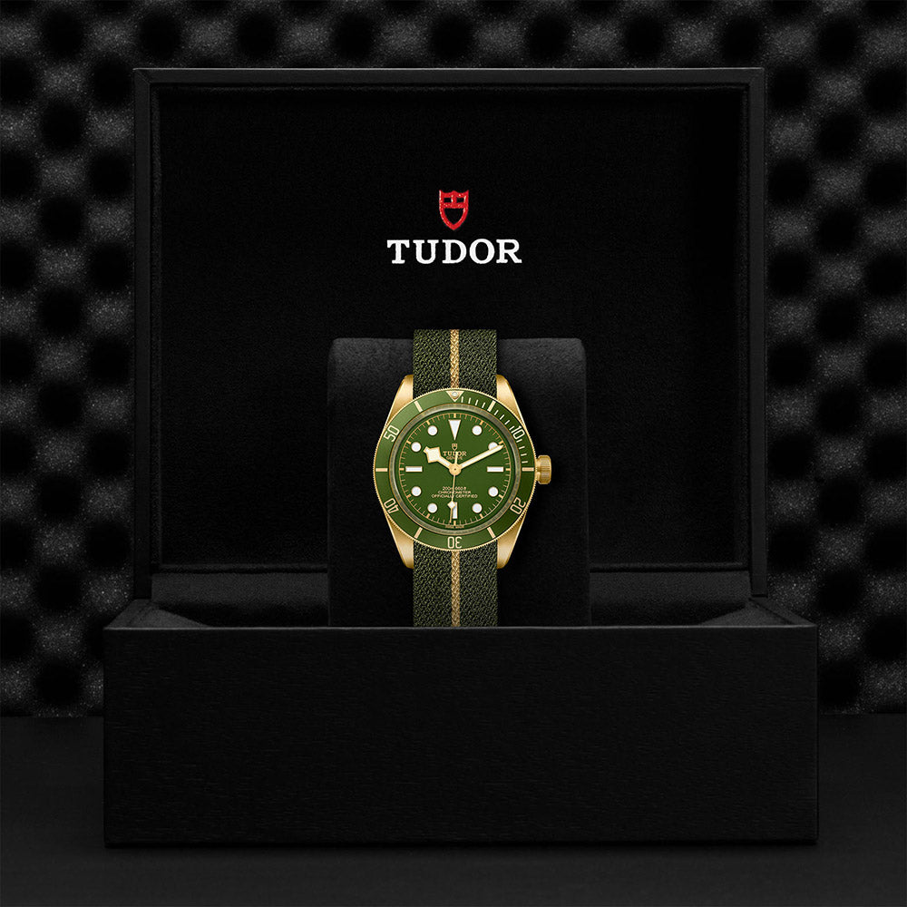 TUDOR Black Bay Fifty-Eight 18ct M79018V-0001