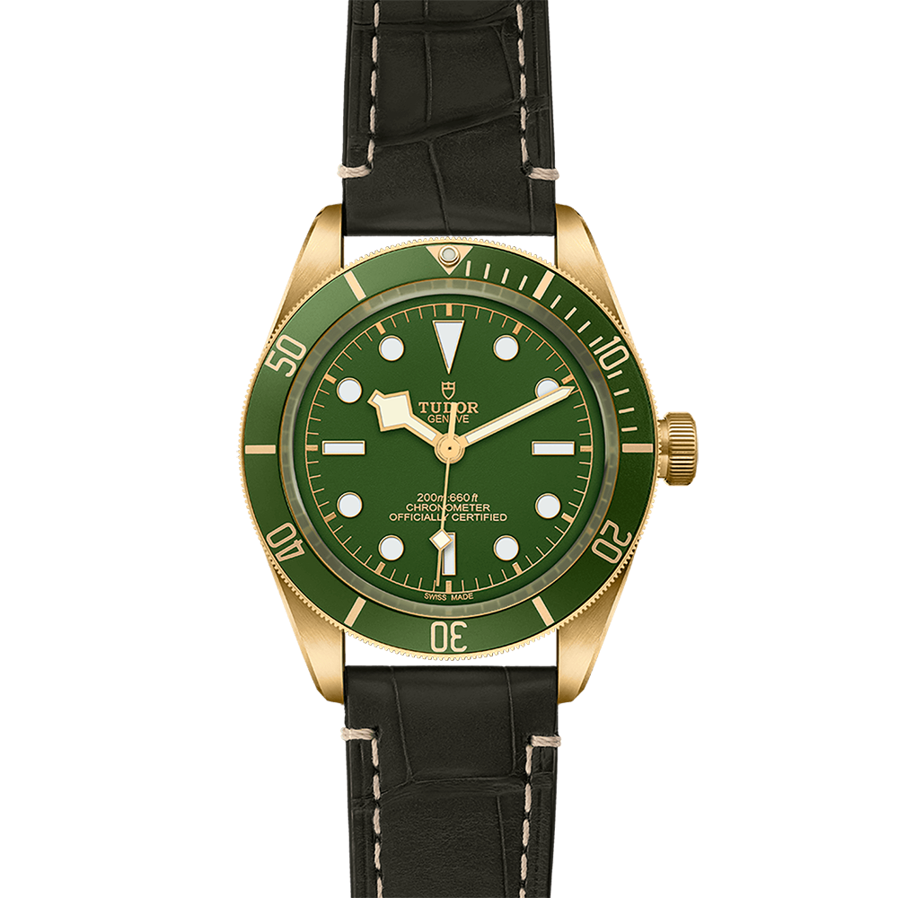 TUDOR Black Bay Fifty-Eight 18ct M79018V-0001