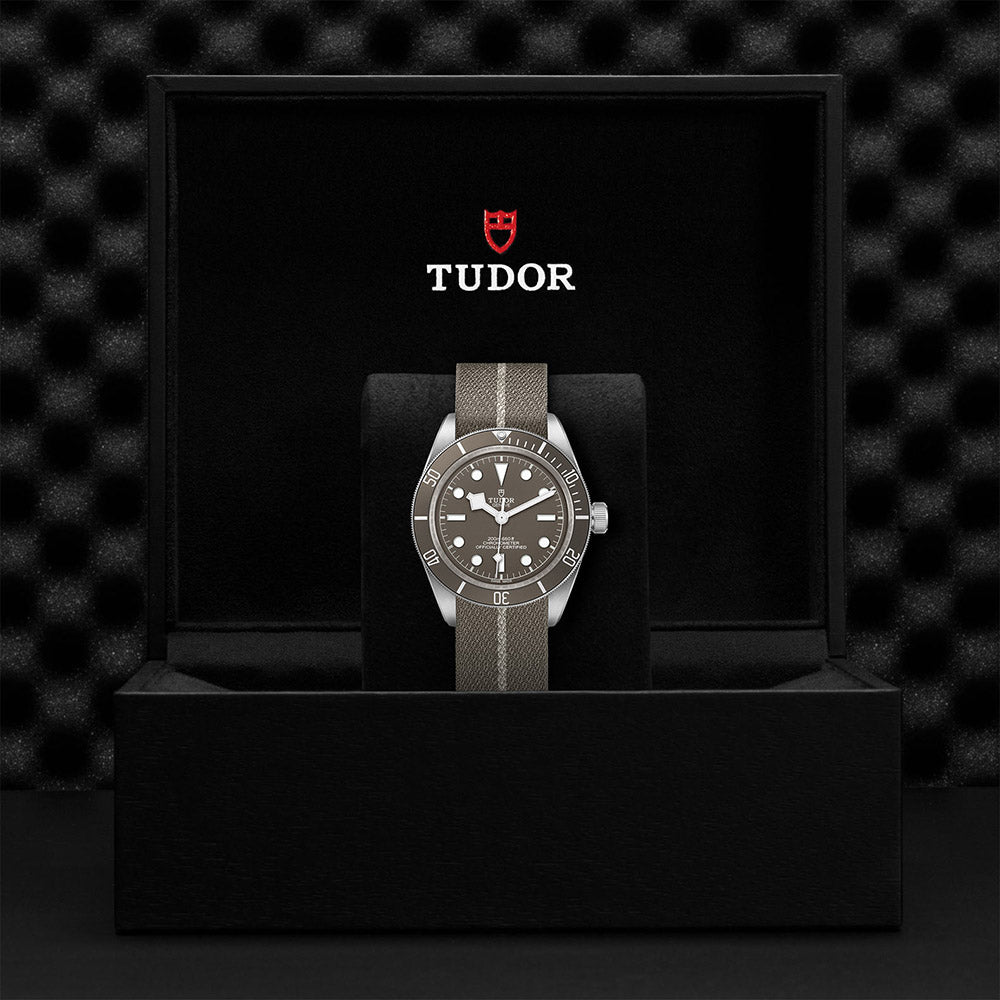TUDOR Black Bay Fifty-Eight 925 M79010SG-0002