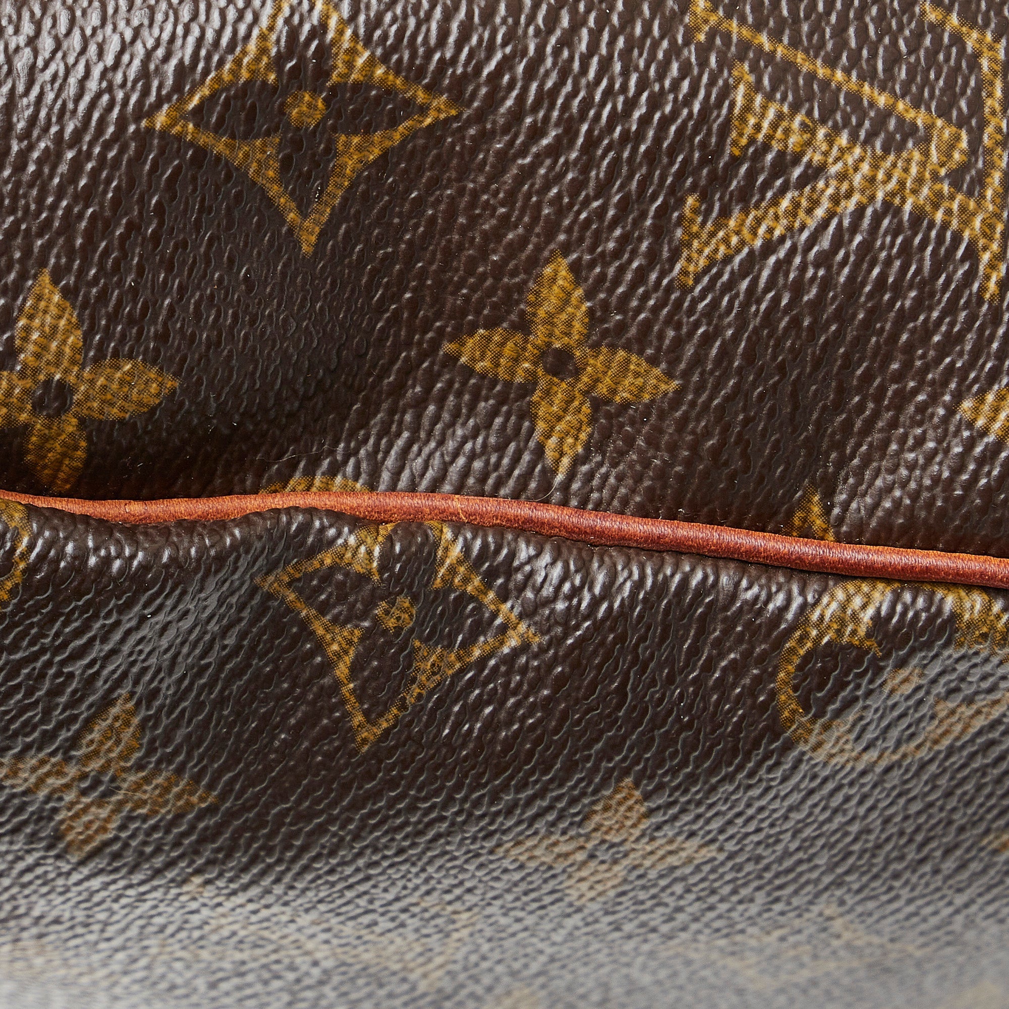 Louis Vuitton Speedy 25 Monogram Canvas