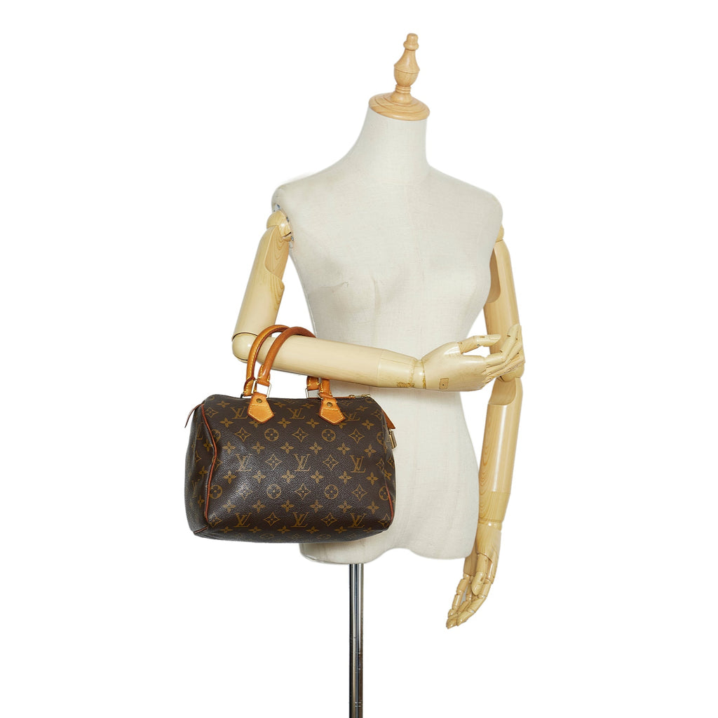 Louis Vuitton Speedy 25 Monogram Canvas