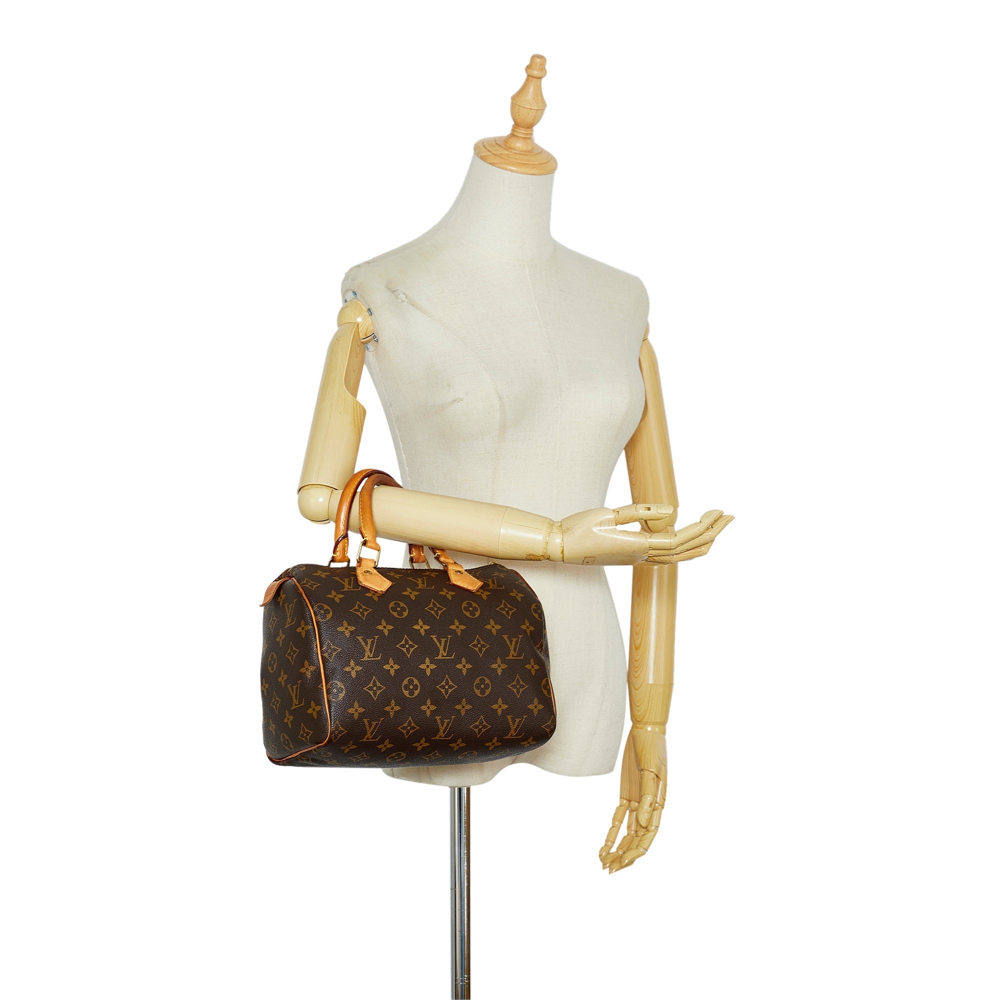 Louis Vuitton Speedy 25 Monogram Canvas