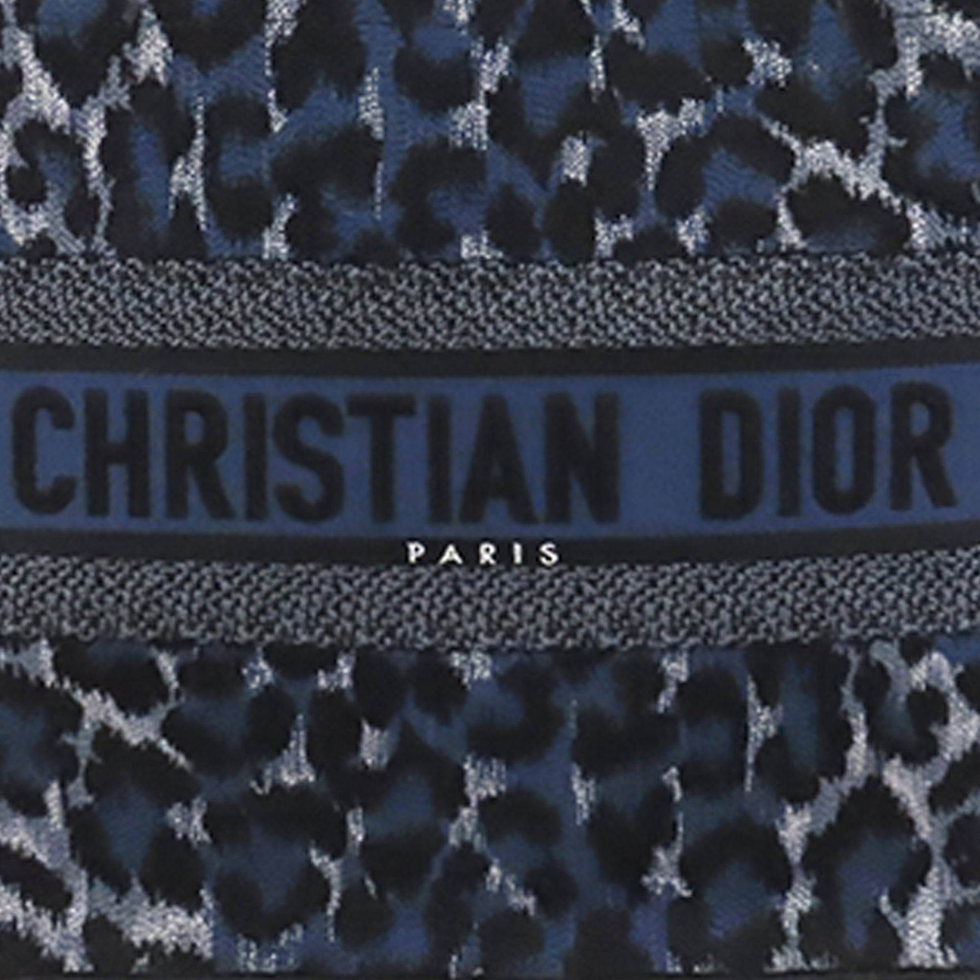 Dior Book Tote Medium Blue Leopard Canvas