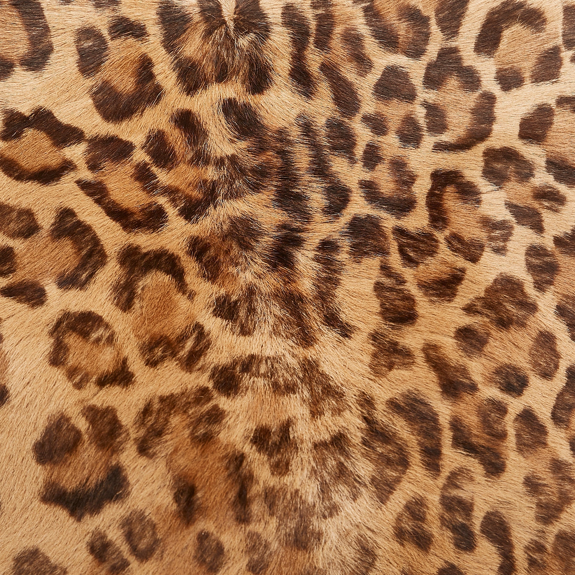 Brown Loewe Pony Hair Leopard Print Tote Bag