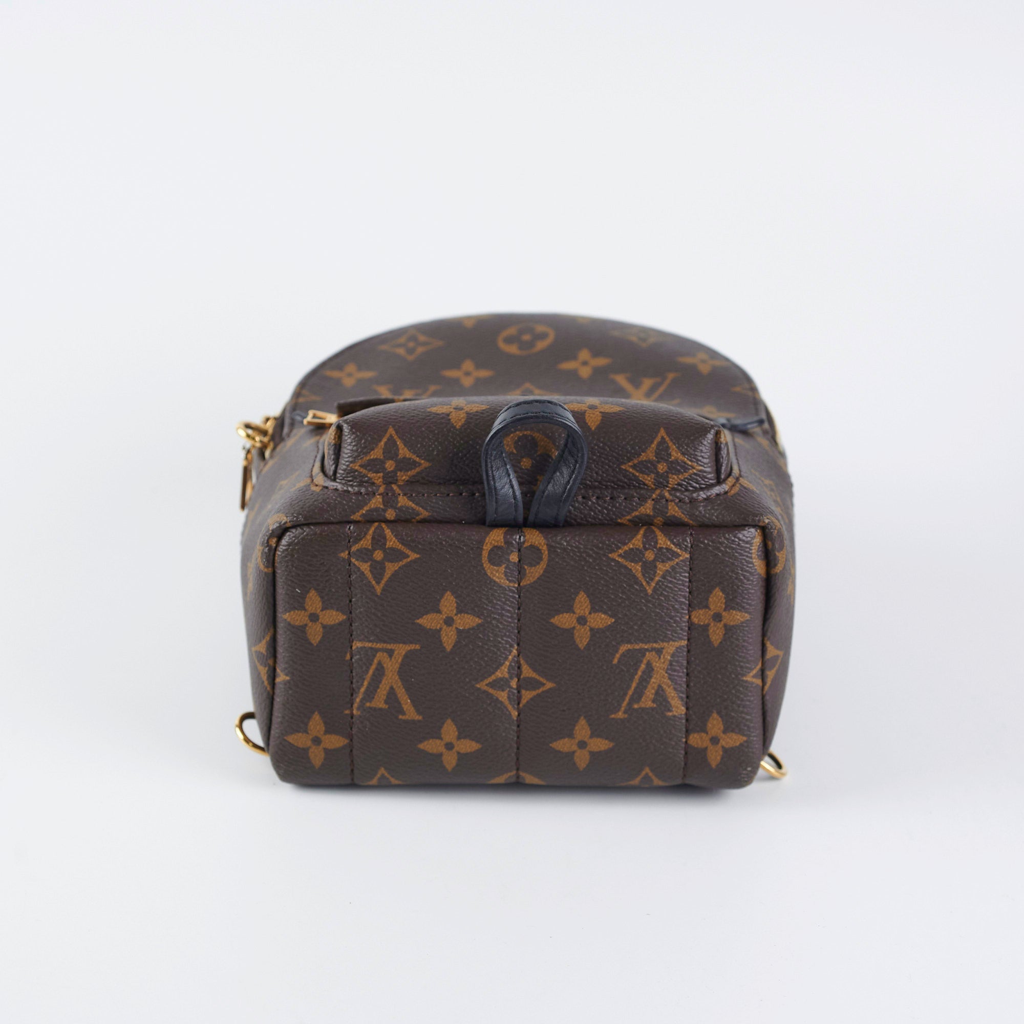Louis Vuitton Palm Spring Mini Monogram (New Zipper Style)