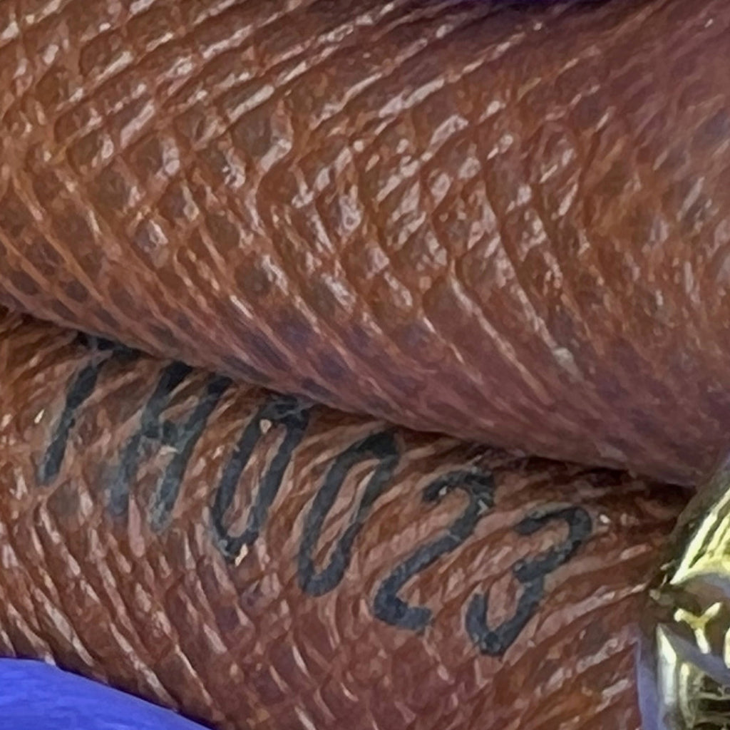 Brown Louis Vuitton Monogram Sarah Long Wallet