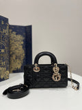 BLUSH BAGZ - Dior Bags - 1614