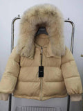 SAMC - Mix Jackets - 844