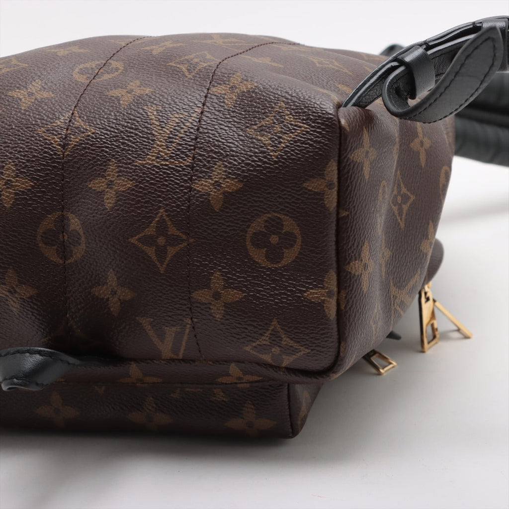 Louis Vuitton Monogram Palm Springs Backpack PM M41560
