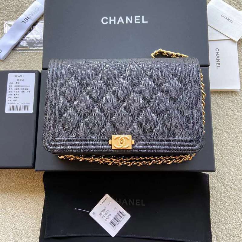 Satchel Bags - CHL Bags - 5995