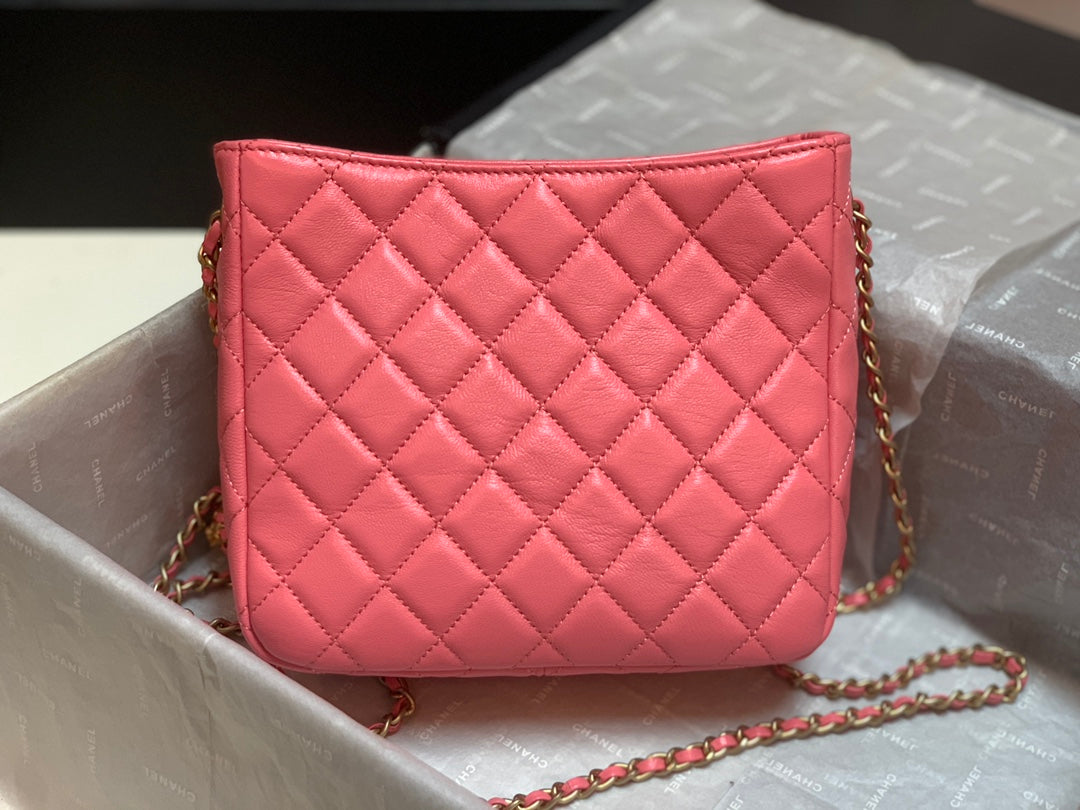 CHLHobo Handbag PiNike Bag For Women 16cm/6in