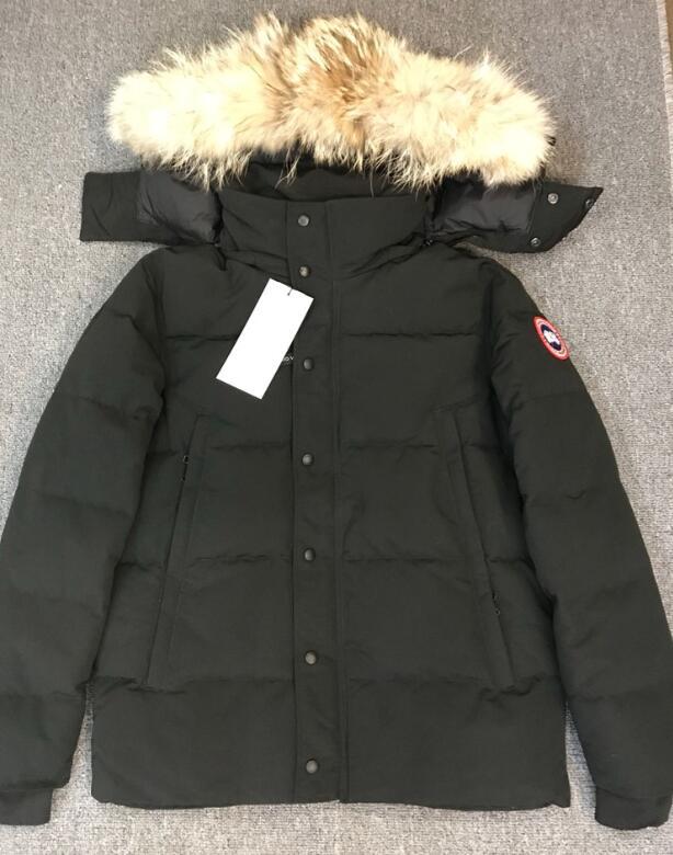 SAMC - Mix Jackets - 721
