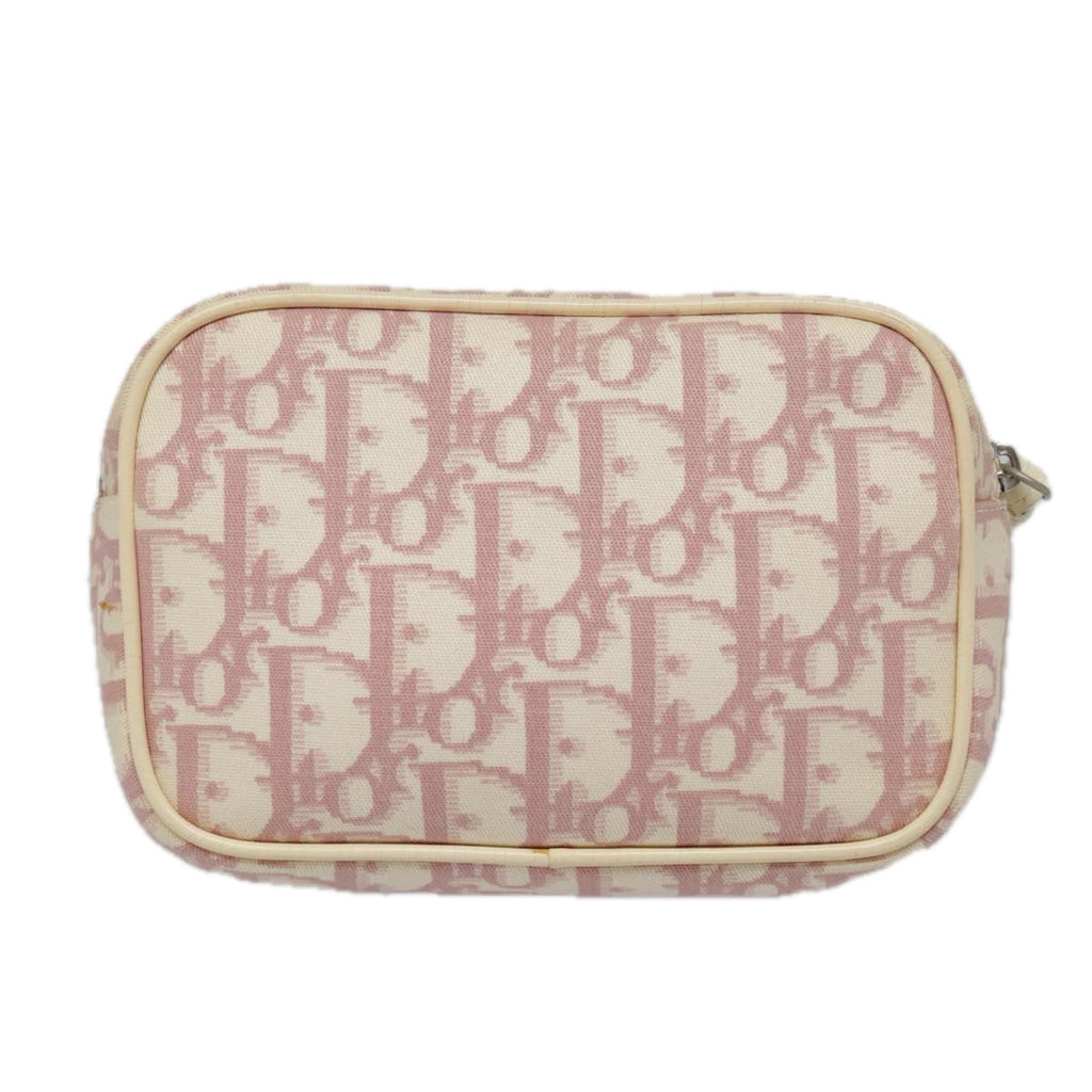 Dior Trotter  Canvas Clutch Bag ()