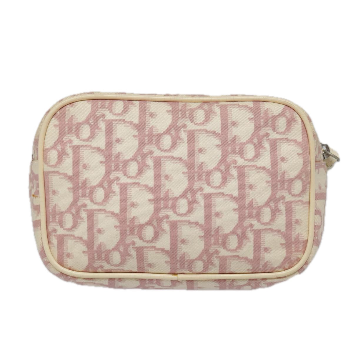Dior Trotter  Canvas Clutch Bag ()