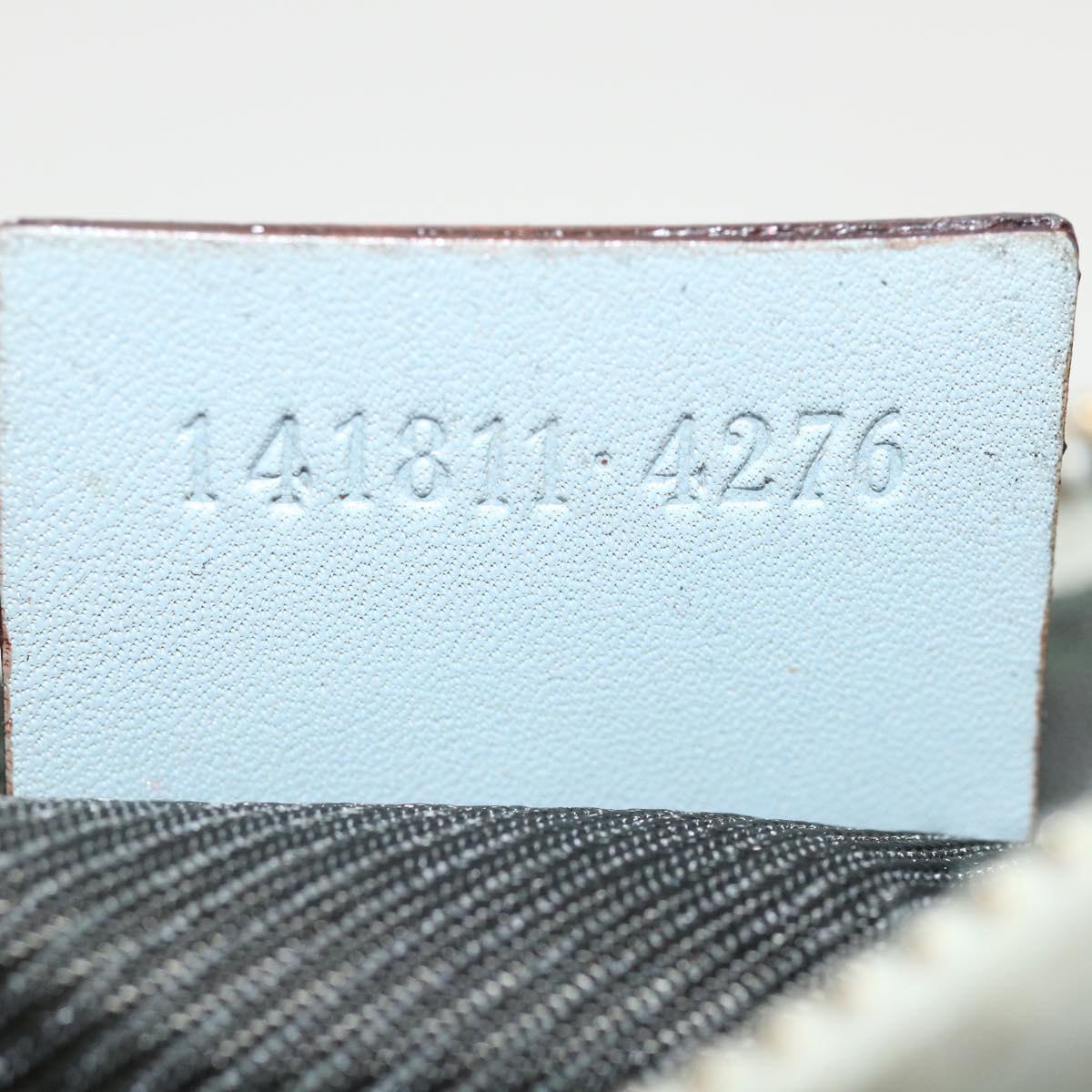 GUCCI GG Canvas Guccissima Pouch Blue ac961