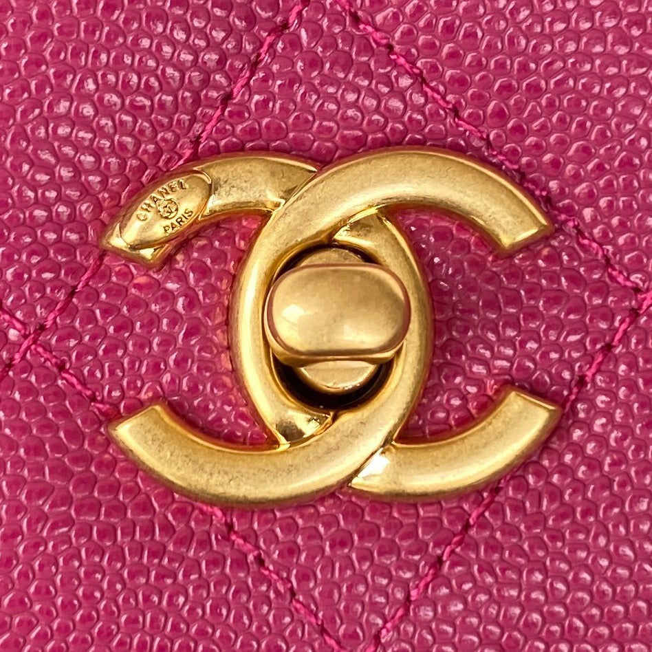 CHLSmall Flap Bag Gold Hardware Plum For Women, Women’s Handbags, Shoulder Bags 7.5in/19cm AP2840