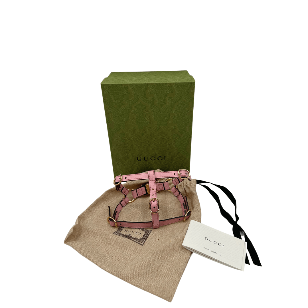Pettorina Gucci XS
