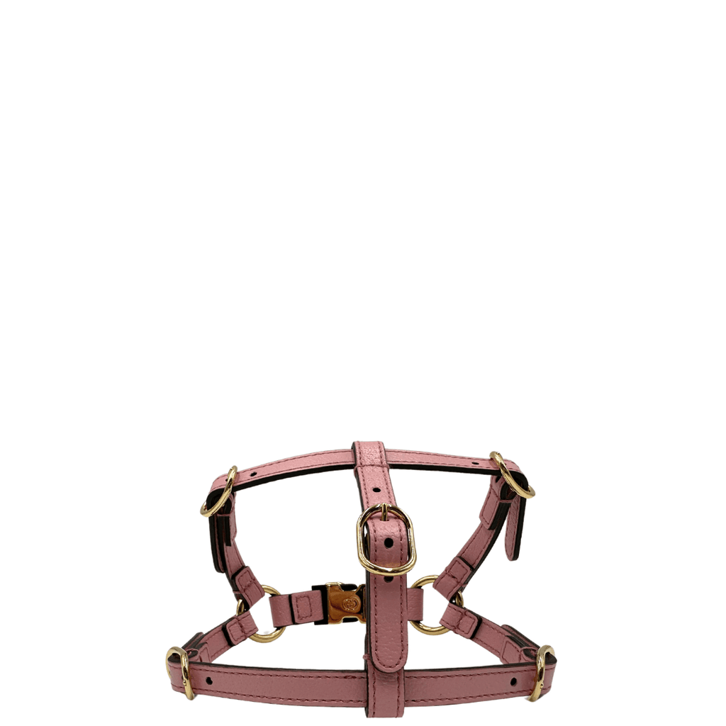 Pettorina Gucci XS