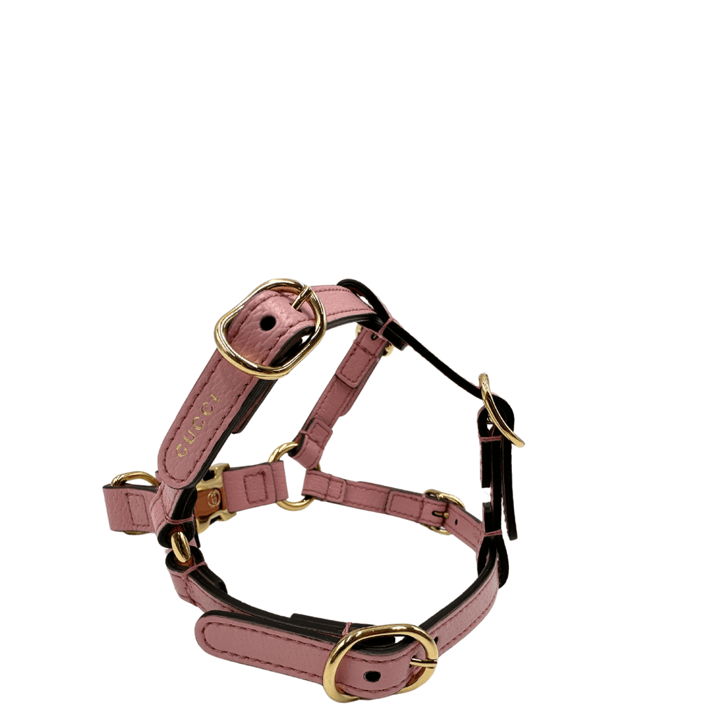 Pettorina Gucci XS