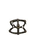 Pettorina Gucci XS
