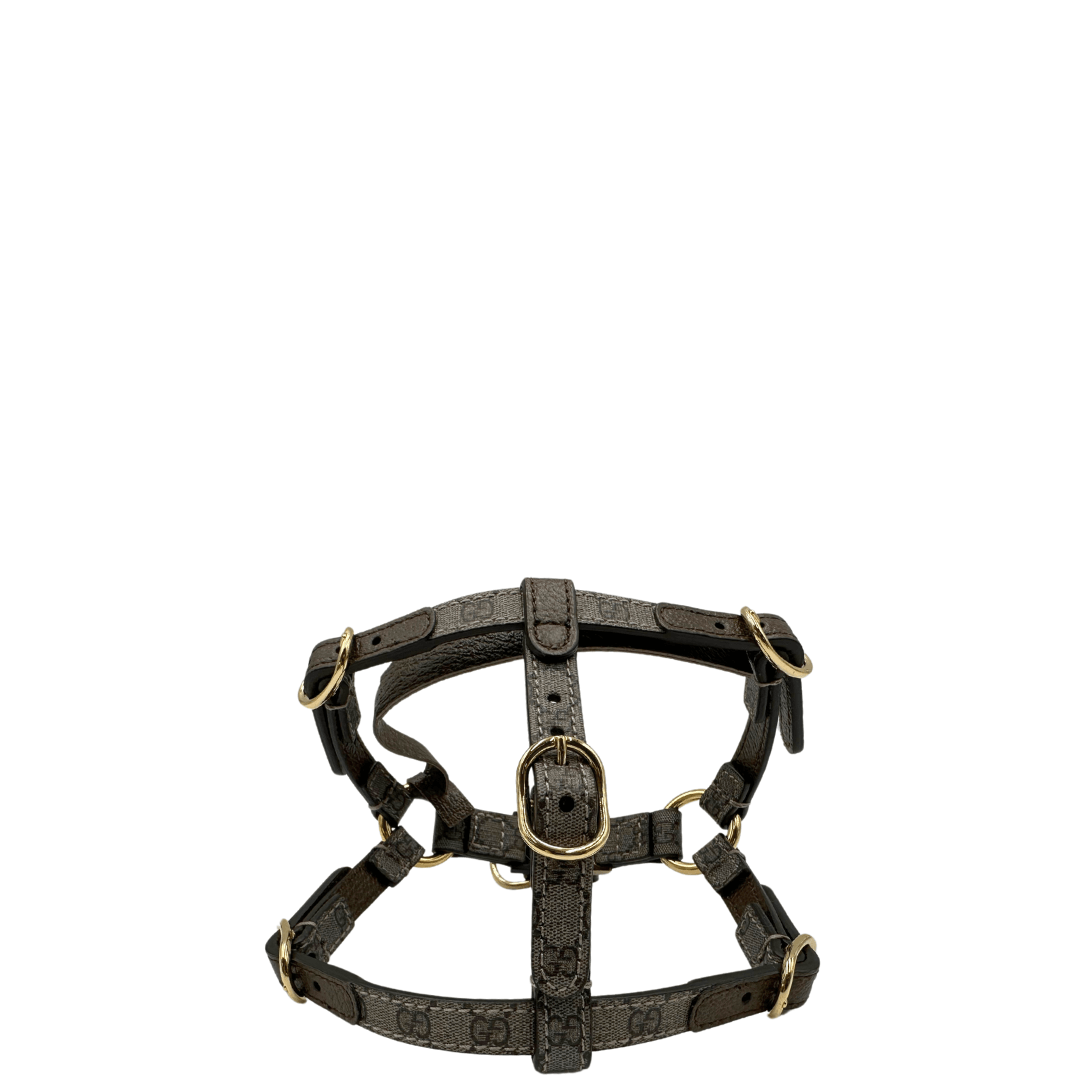 Pettorina Gucci XS