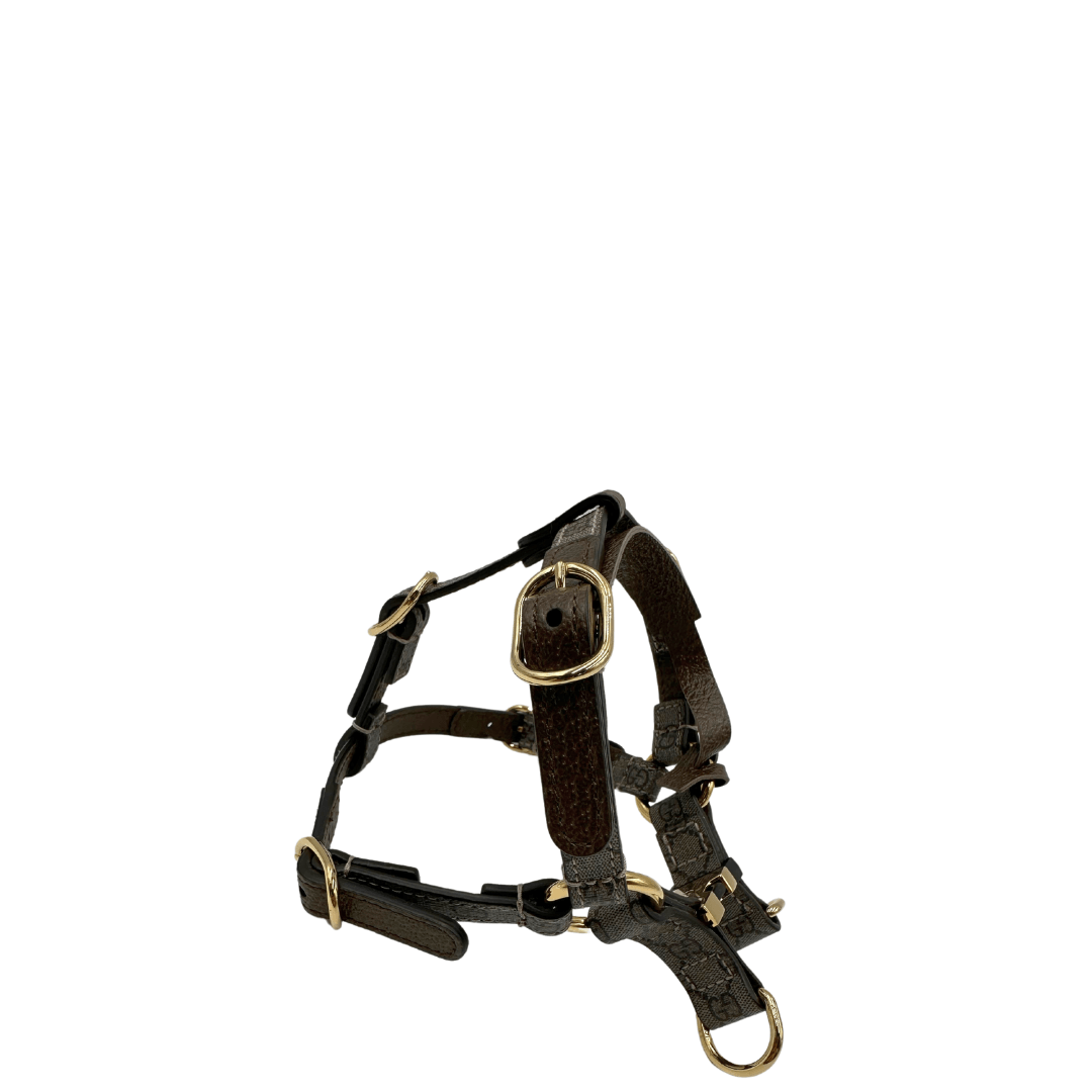 Pettorina Gucci XS