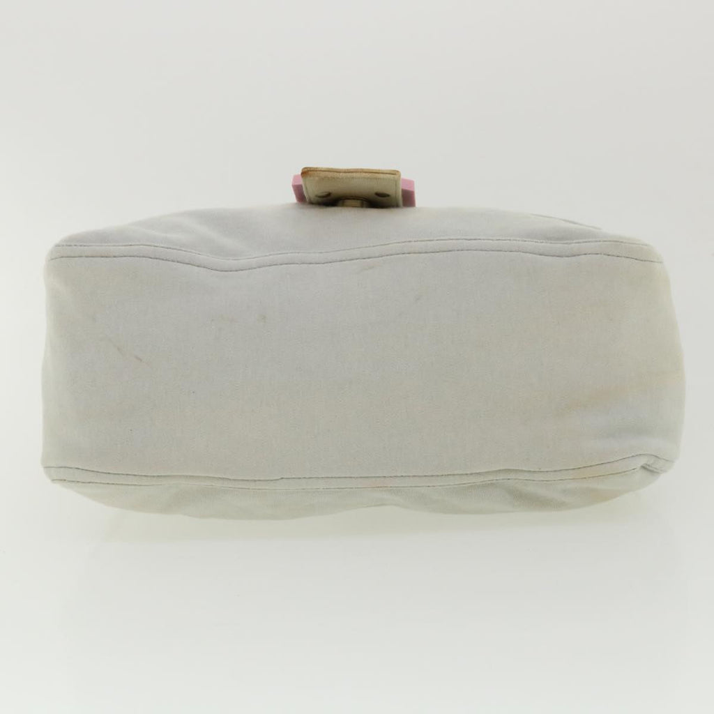 FENDI Shoulder Bag Canvas Light Blue am3717