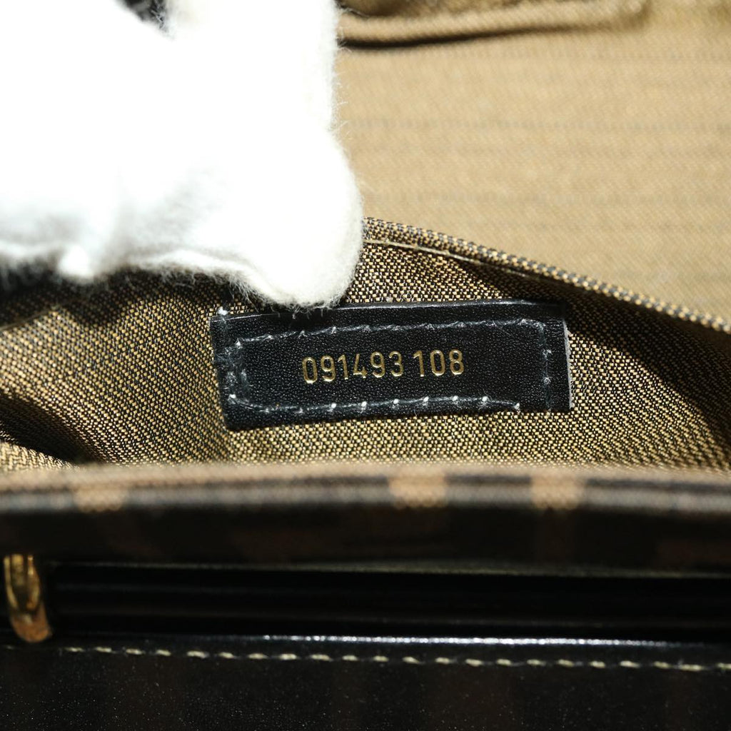 FENDI Zucca Canvas Hand Bag Nylon 2way Brown Black am4252