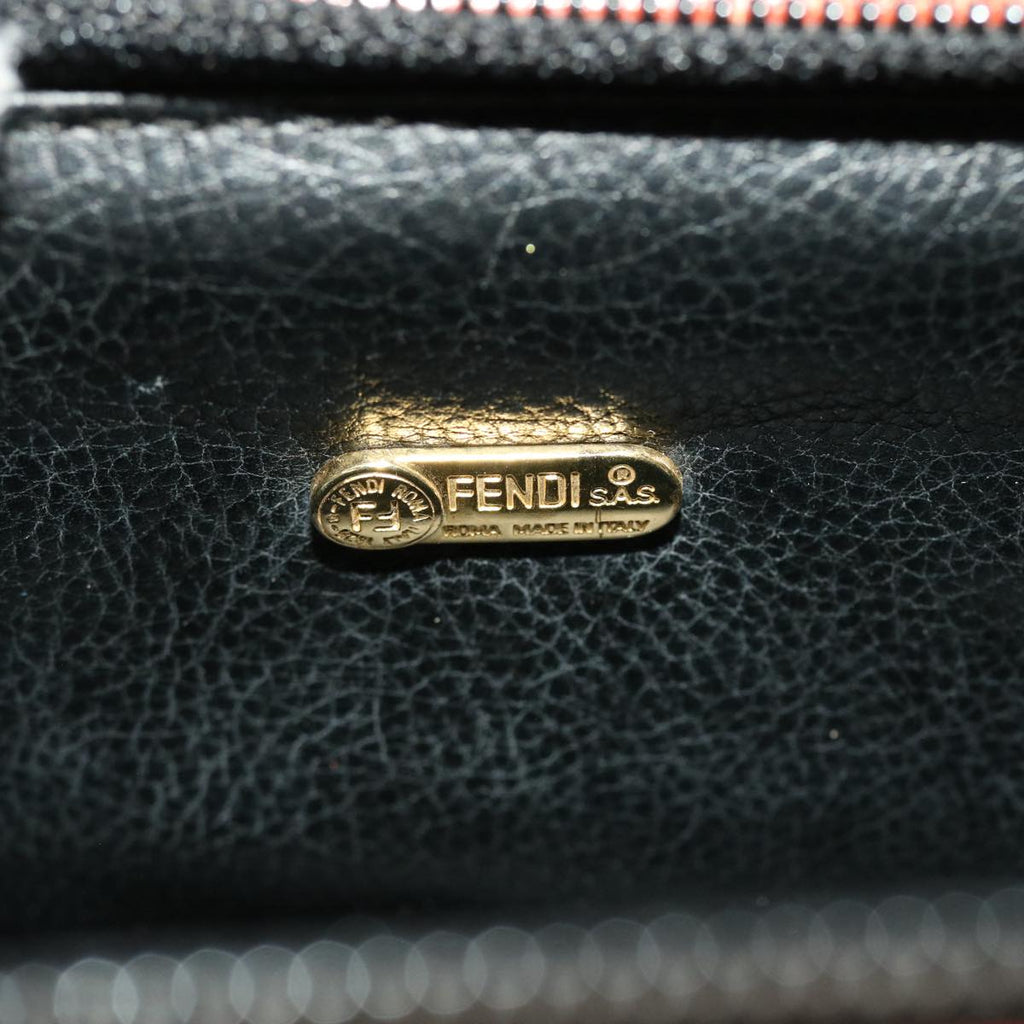 FENDI Pecan Canvas Mini Hand Bag Brown Black am4474