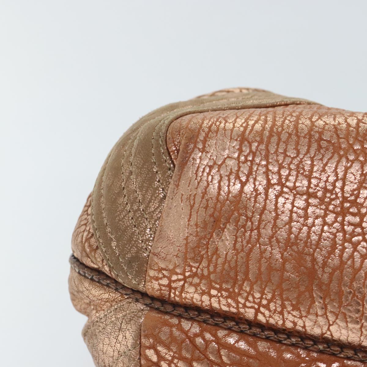 FENDI spy Hand Bag Leather Gold Tone am6841