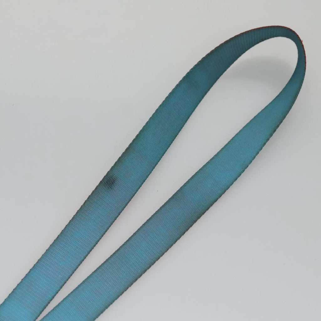 CHANEL Neck Strap Canvas Red Blue CC am7445