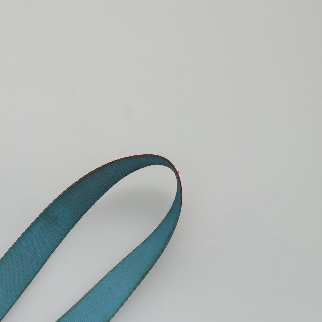 CHANEL Neck Strap Canvas Red Blue CC am7445