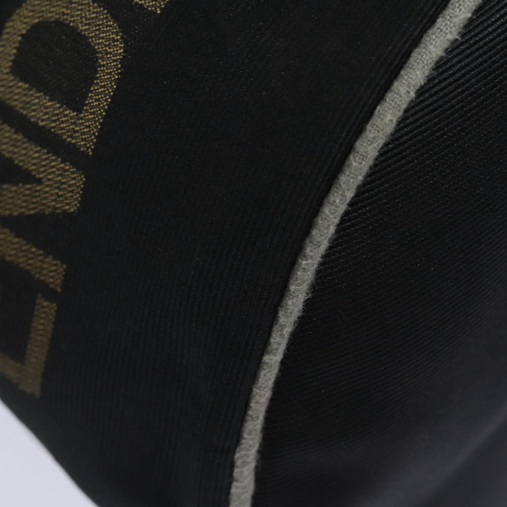 FENDI Hand Bag Nylon Black Gold ar12398