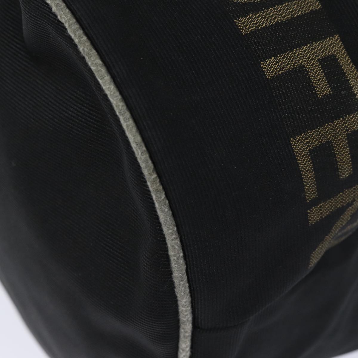 FENDI Hand Bag Nylon Black Gold ar12398