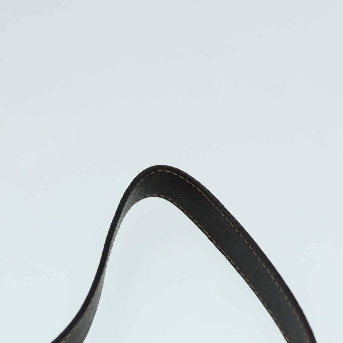 FENDI Zucchino Canvas Hand Bag Brown Gold ar12553