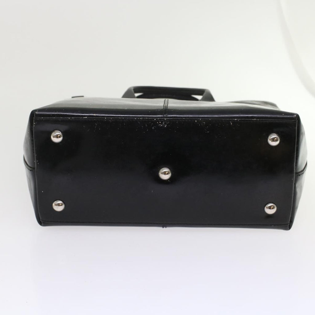 FENDI Pecan Macadam Canvas Hand Bag Garment Cover 3Set Brown Black ar9900B