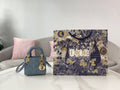 BLUSH BAGZ - Dior Bags - 051