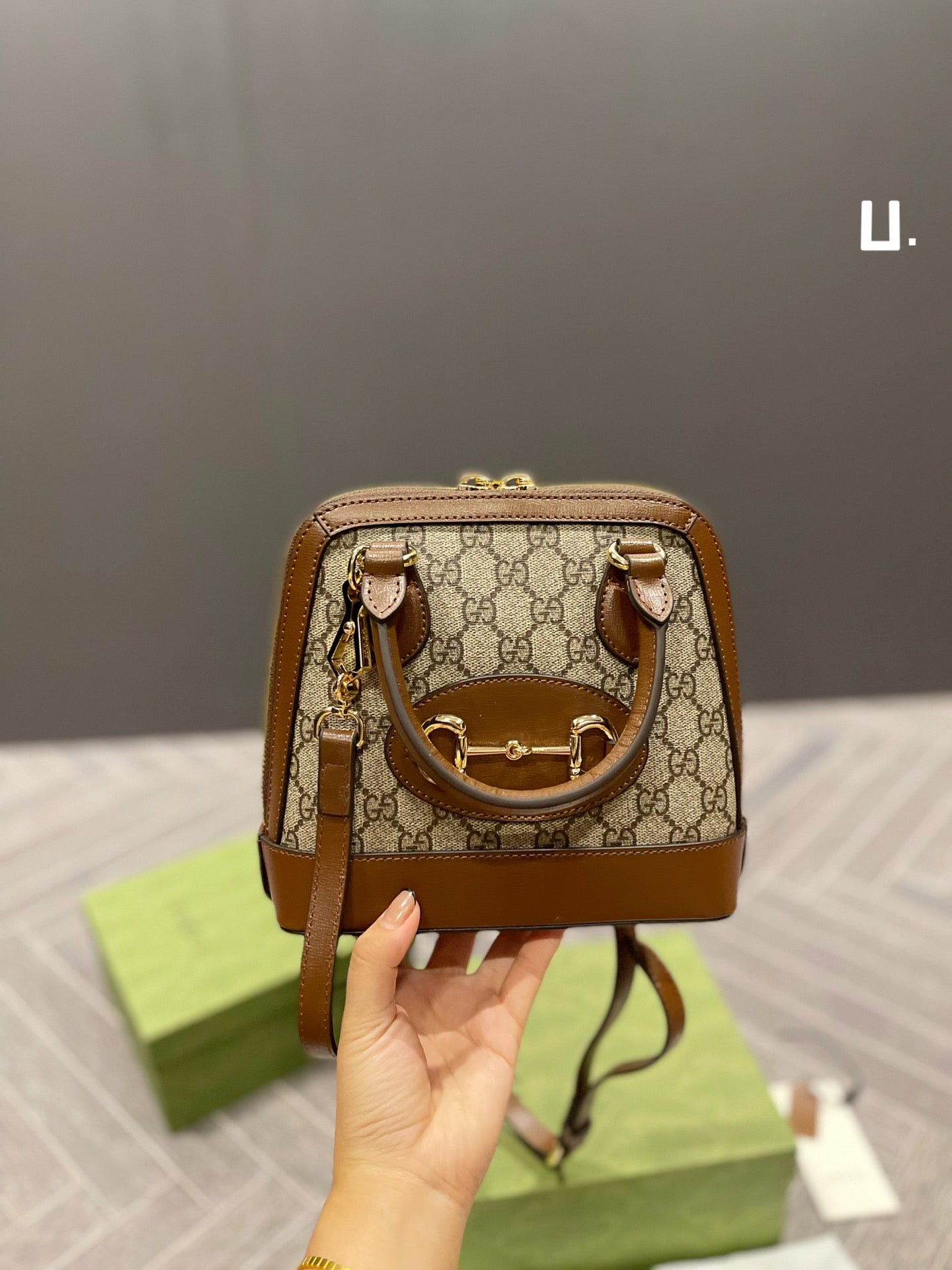 EN - New Lux Bags GCI 386