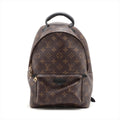 Louis Vuitton Monogram Palm Springs Backpack PM M41560